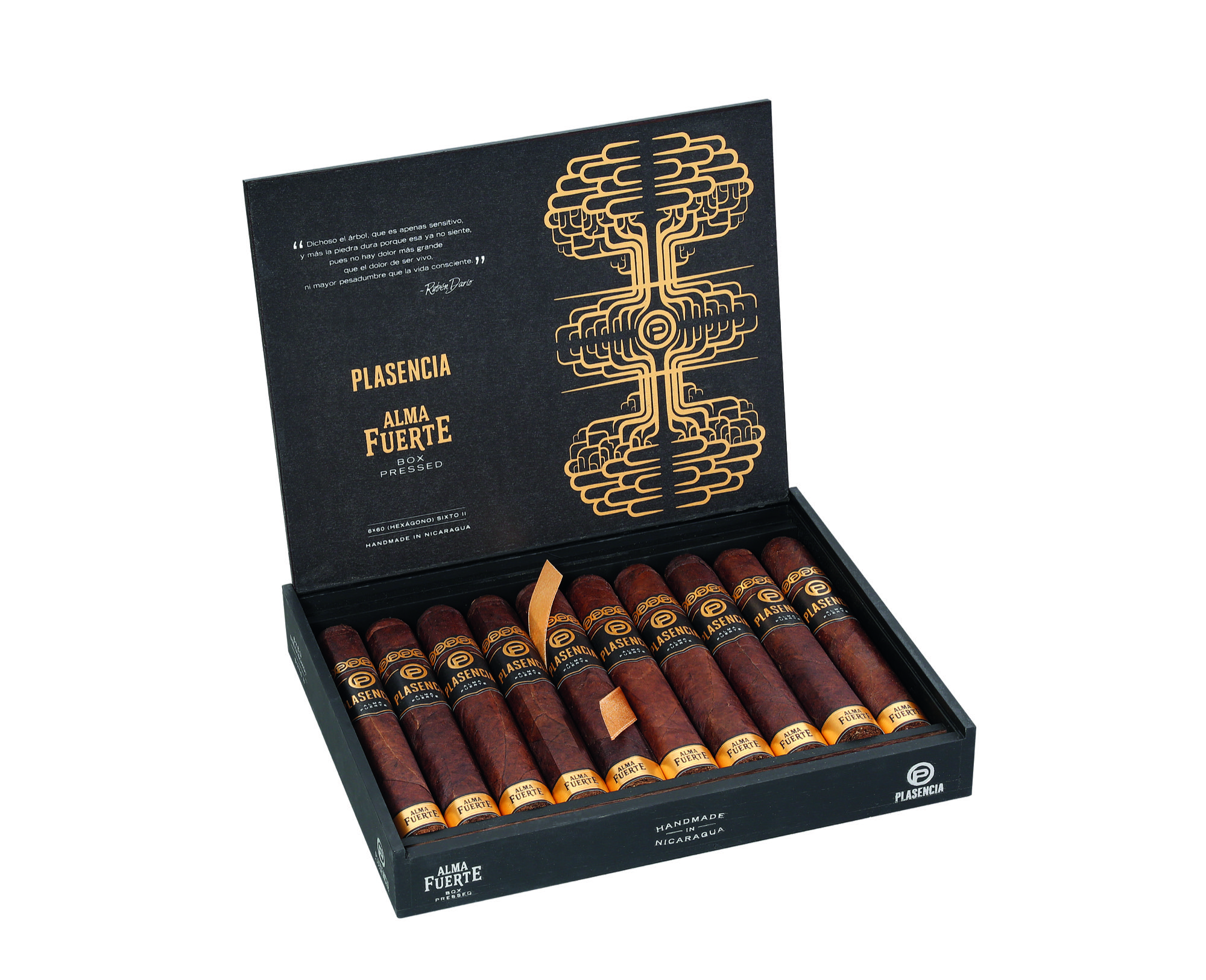 Plasencia Alma Fuerte Sixto II Hexagono Gordo