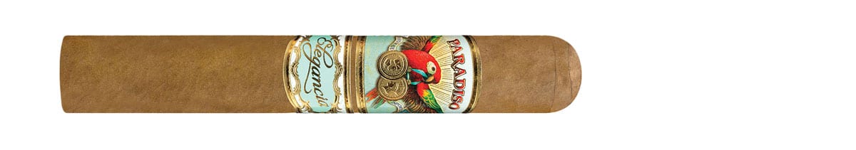 Paradiso Elegancia Robusto